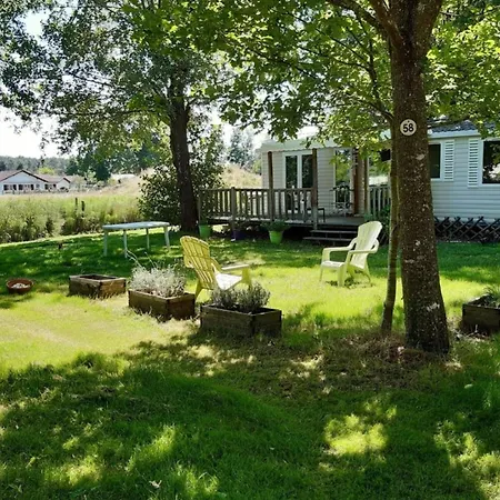 Camping Confortable Avec Terrasse A - Api-1-52-527 Saint-Julien-en-Born