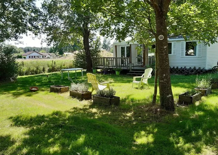 Camping Confortable Avec Terrasse A - Api-1-52-527 Saint-Julien-en-Born